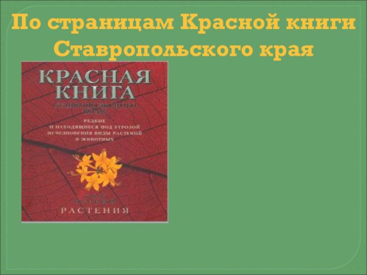По страницам Красной книги Ставропольского края