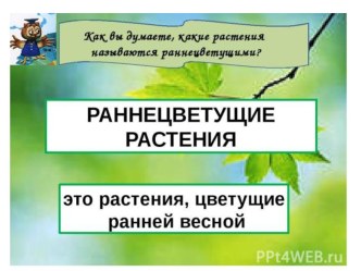 Презентация по развитию речи  Раннецветущие растения