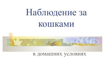 Презентация Наблюдение за кошками в домашних условиях .