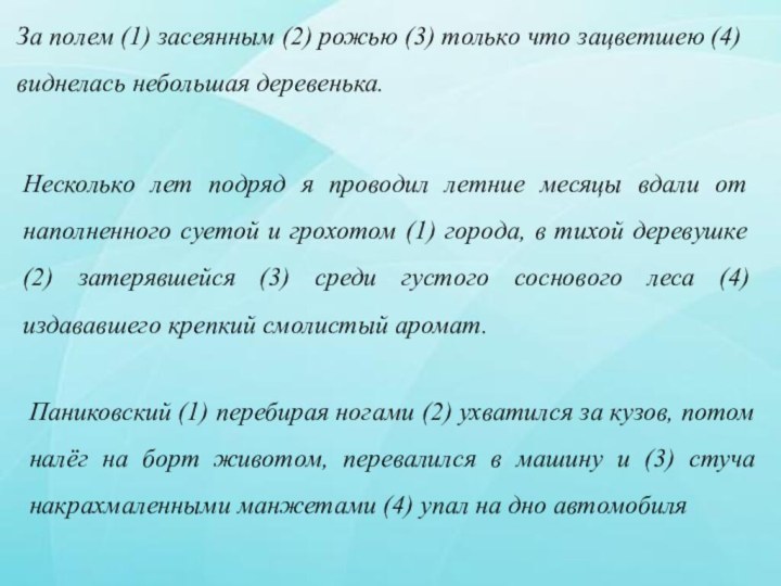 За полем (1) засеянным (2) рожью (3) только что зацветшею (4) виднелась