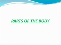 Лексика на тему Body parts (новый материал и задания для закрепления).