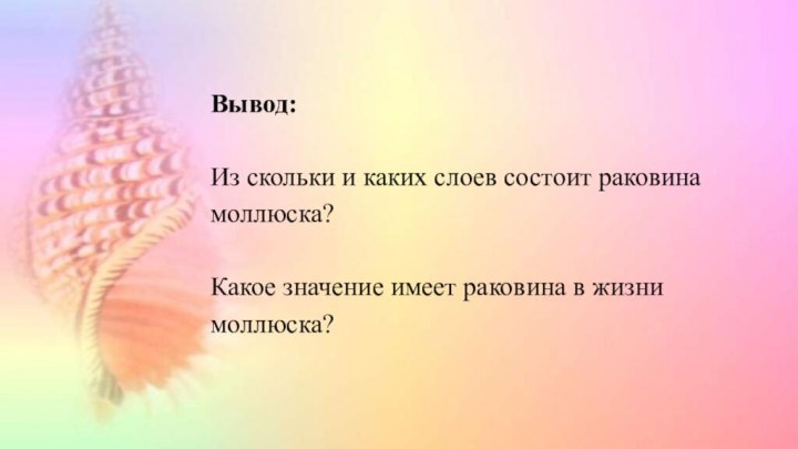 Вывод: Из скольки и каких слоев состоит раковина моллюска? Какое значение имеет раковина в жизни моллюска?