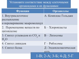 Презентация: Митохондрии, пластиды, клеточный центр, органоиды движения, клеточные включения.