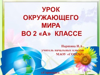 Презентация к уроку ООМ на тему Вода в жизни человека(2 класс)