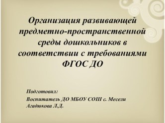 Организация развивающей предметно-пространственной среды дошкольников в соответствии с требованиями ФГОС ДО