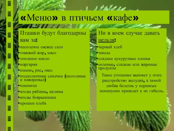 «Меню» в птичьем «кафе»Пташки будут благодарны вам за:несоленое свежее салоговяжий жир, мясотопленое