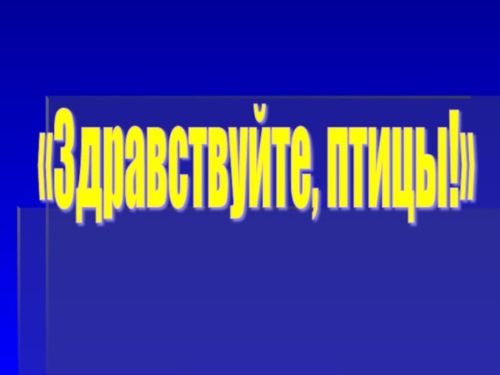 «Здравствуйте, птицы!»