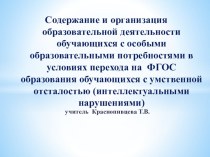 Содержание и организация образовательной деятельности обучающихся с ОВЗ