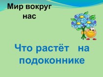 Презентация по окружающему миру на тему Что растет на подоконнике