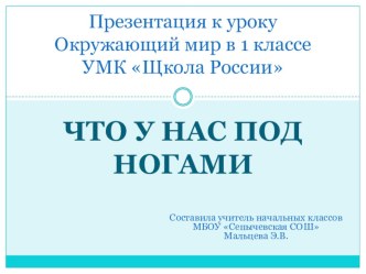 Презентация по окружающему миру Что у нас под ногами