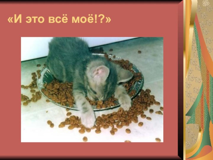 «И это всё моё!?»