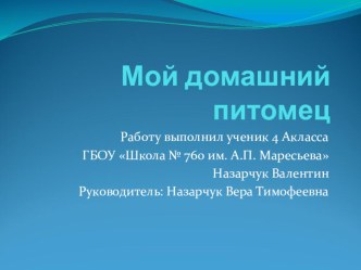 Презентация по окружающему миру на тему Домашние животные