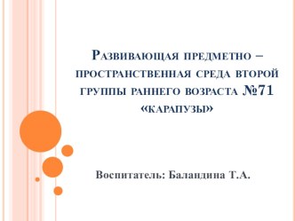 Развивающая предметно – пространственная среда второй группы раннего возраста