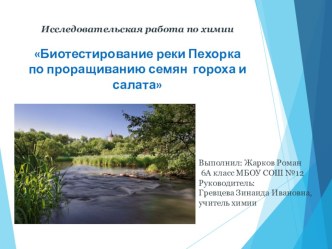 Презентация с видеовставками Биотестирование реки Пехорка на проращивание семян до и после очистки реки