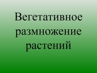 Вегетативное размножение растений