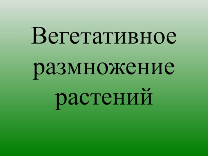 Вегетативное размножение растений