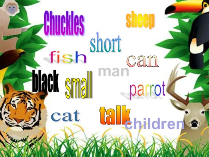 Chuckles fish sheep short black can cat small talk parrot childrenman