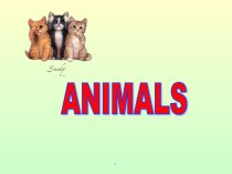 Презентация по английскому языку на тему Части тела животных(3 класс, М.З. Биболетова)