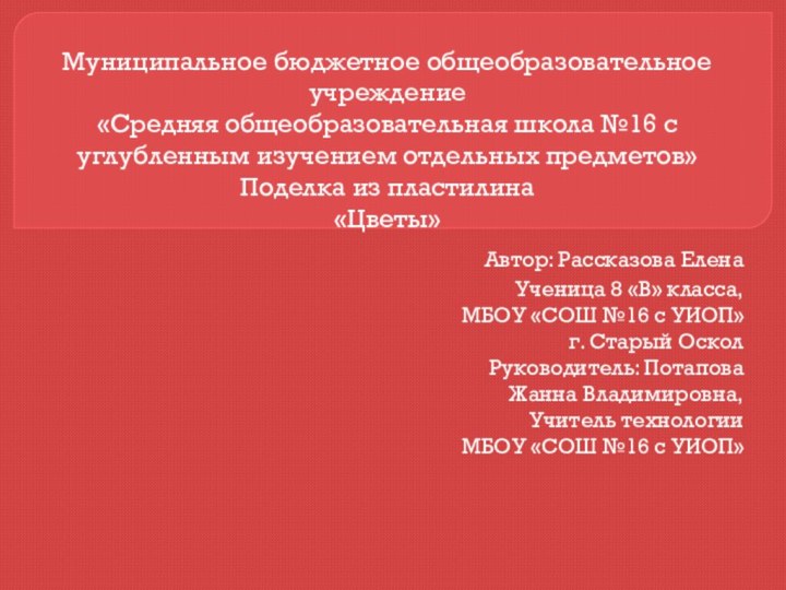 Муниципальное бюджетное общеобразовательное учреждение«Средняя общеобразовательная школа №16 с углубленным изучением отдельных предметов»Поделка