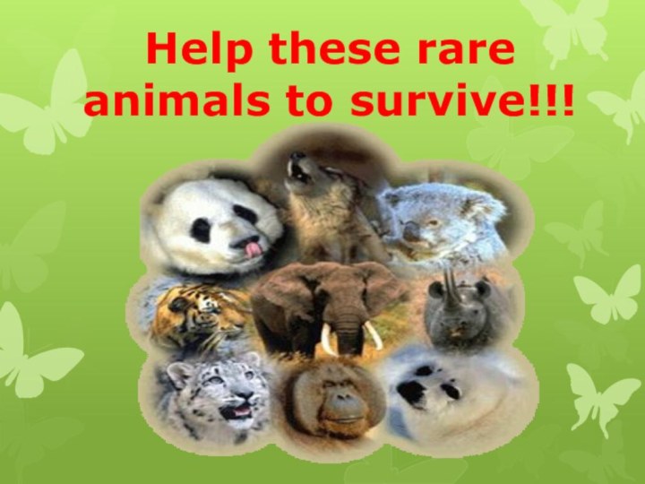 Help these rare animals to survive!!!