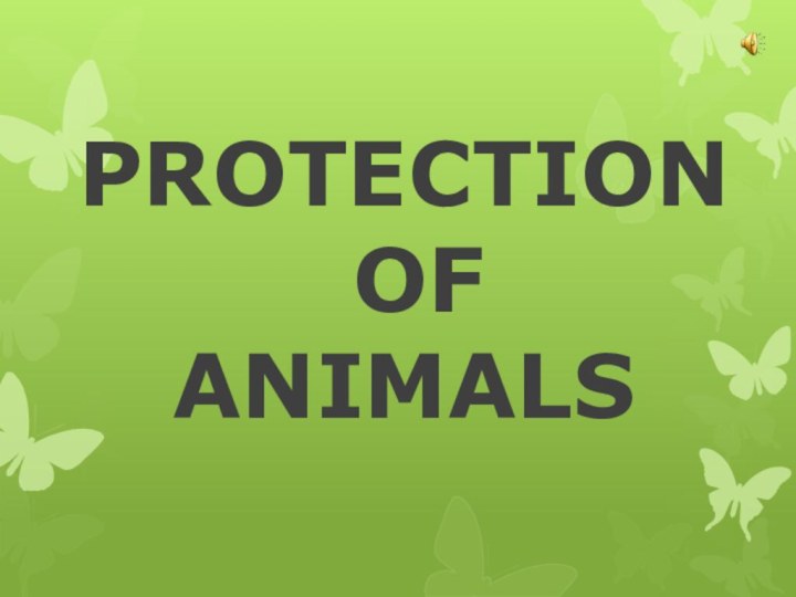PROTECTION  OF  ANIMALS