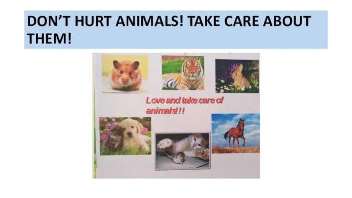 DON’T HURT ANIMALS! TAKE CARE ABOUT THEM!