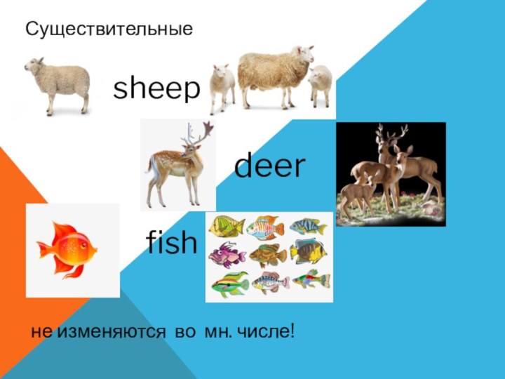 Существительные sheepdeerfishне изменяются во мн. числе!