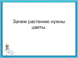 Презентация по знакомству с природой родного края на тему  Зачем растению нужны цветы