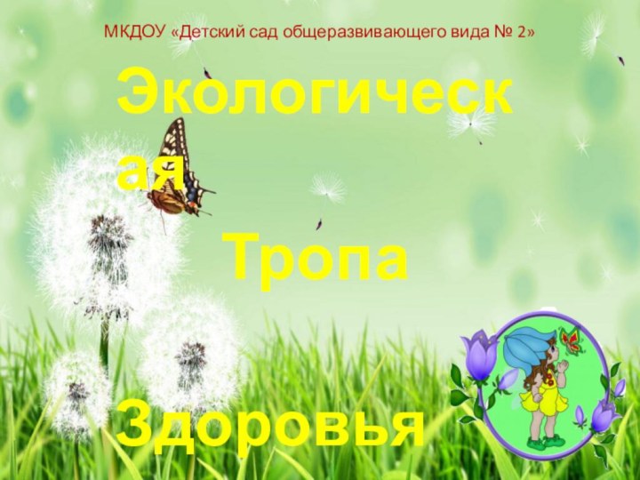 МКДОУ «Детский сад общеразвивающего вида № 2»Экологическая    Тропа     Здоровья