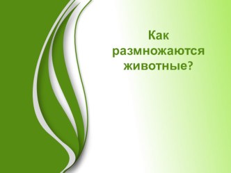 Презентация по биологии для 5 класса по теме: Как размножаются животные? по учебникуТ.С.Сухова, В.И. Строганов