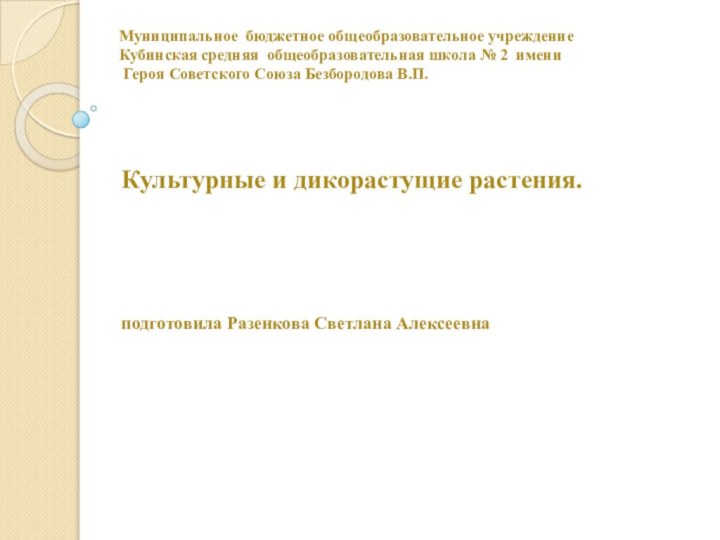 Муниципальное бюджетное общеобразовательное учреждение  Кубинская средняя общеобразовательная школа № 2 имени