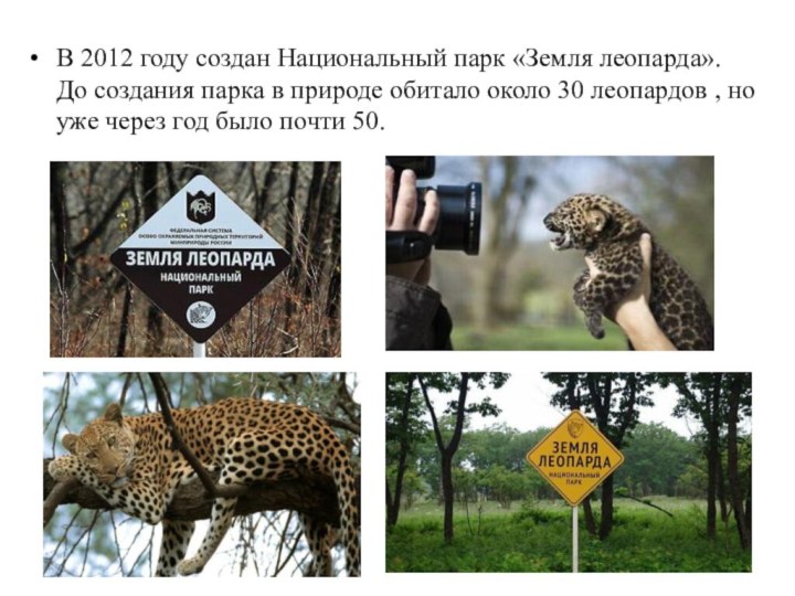 В 2012 году создан Национальный парк «Земля леопарда». До создания парка в