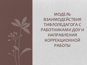 Модель взаимодействия тифлопедагога с работниками ДОУ и направления коррекционной работы