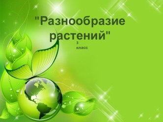 Презентация по русскому языку на тему Разнообразие растений
