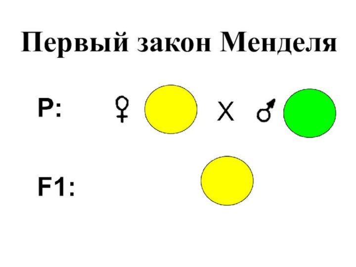 Первый закон Менделя