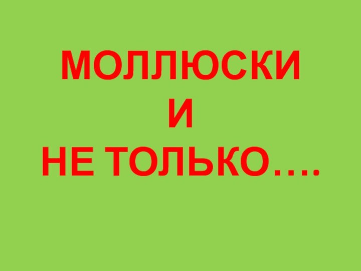 МОЛЛЮСКИ  И НЕ ТОЛЬКО….