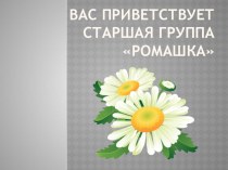 Презентация Визитная карточка группы РОМАШКА