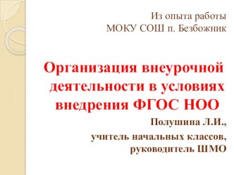 Презентация Организация внеурочной деятельности в условиях внедрения ФГОС НОО