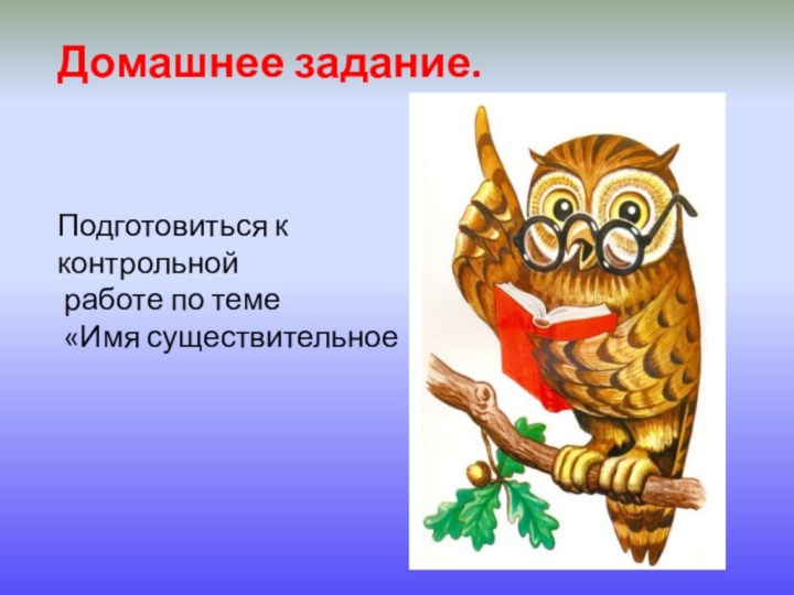 Домашнее задание.Подготовиться к контрольной работе по теме «Имя существительное