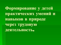 Презентация по трудовому воспитанию на тему Формирование у детей практических умений и навыков в природе через трудовую деятельность