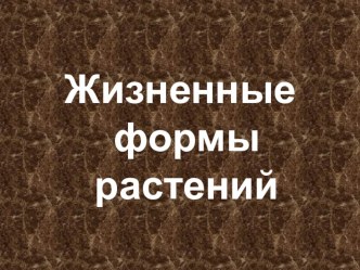 Презентация по биологии на тему Жизненные формы растений