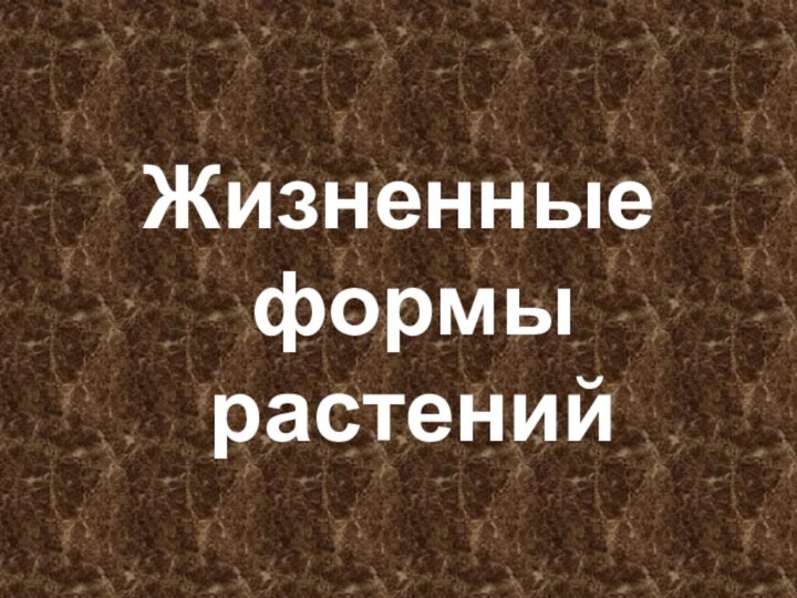 Жизненные формы растений