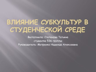 Презентация по обществознанию на тему Влияние субкультур в молодежной среде