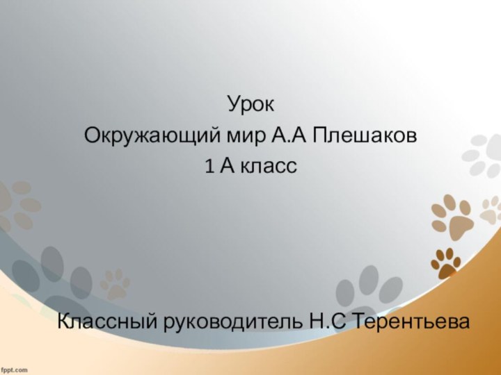 Урок Окружающий мир А.А Плешаков1 А классКлассный руководитель Н.С Терентьева