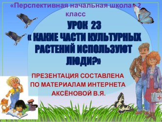 Презентация к уроку 23 по ОКРУЖАЮЩЕМУ МИРУ на тему РОЛЬ РАСТЕНИЙ В ЖИЗНИ ЧЕЛОВЕКА, 2 класс, ПНШ