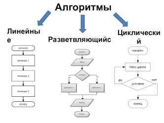 Урок, Презентация по информатике на тему Циклические алгоритмы (8 класс)