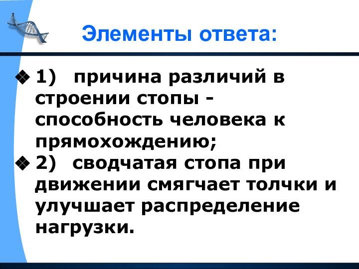 Элементы ответа:1)   причина различий в строении стопы - способность человека к прямохождению;2)   сводчатая