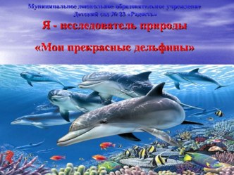 Я - исследователь природы Мои прекрасные дельфины