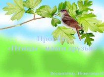 Проект: Птицы – наши друзья