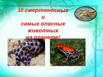 10 смертоносных и самых опасных животных на планете!